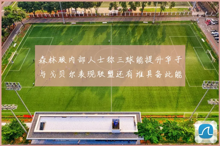 森林狼内部人士称三球能提升华子与戈贝尔表现联盟还有谁具备此能力